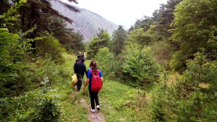 Экскурсия в Хрюгский лес.